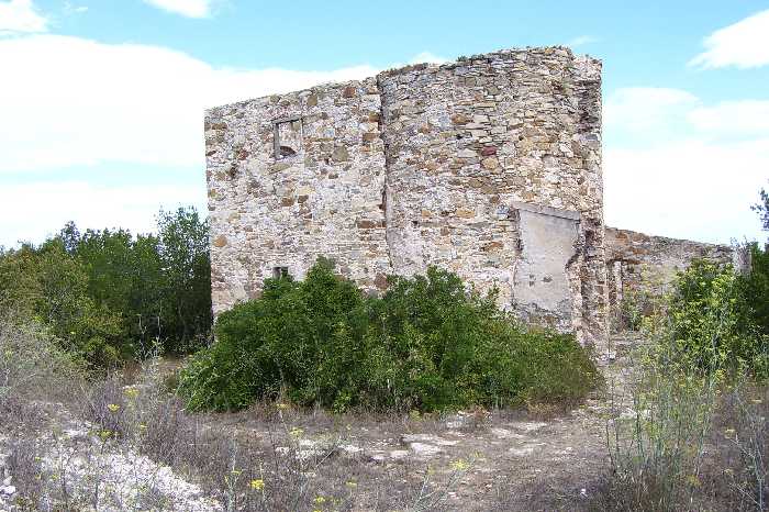 Vendita Rustico/Casale Portoferraio loc. Colle Reciso #152 n.9
