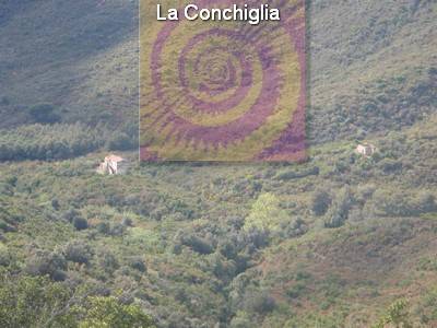 Vendita Commerciale Campo nell'Elba loc. Filetto #215 n.6