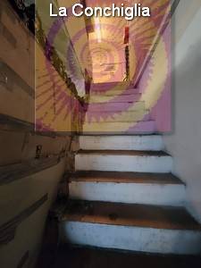 Venta Local commercial Rio VIA TRAVERSA #707 n.8
