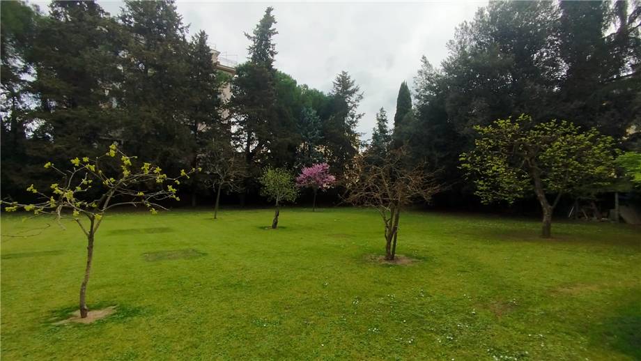 Affitto Villa/Casa singola Scandicci  #B0017 n.7