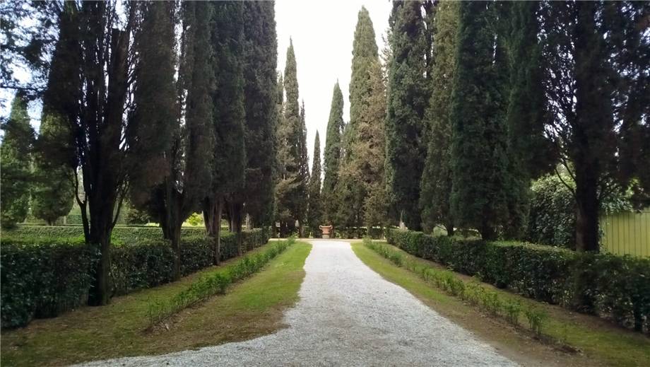 Affitto Villa/Casa singola Scandicci  #B0017 n.10
