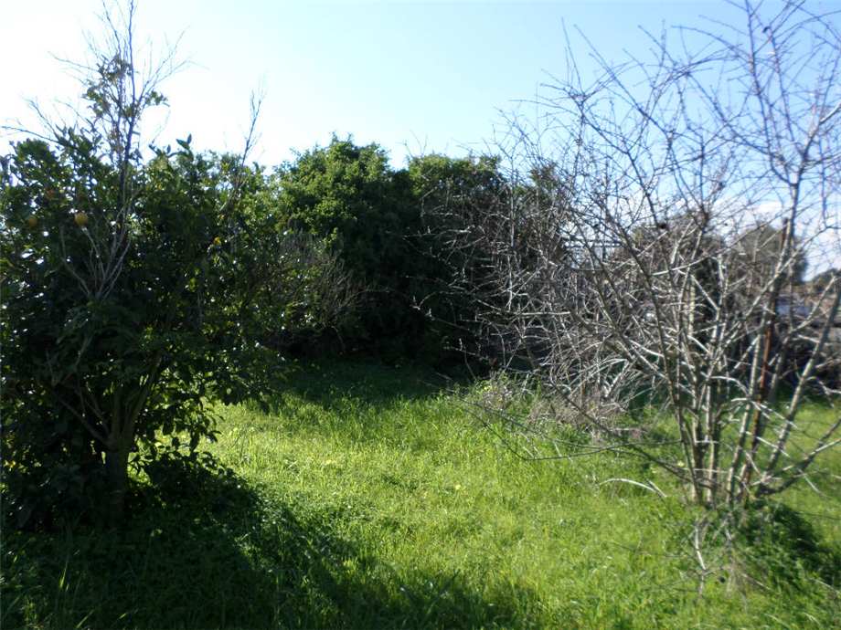 Venta Suelo Assemini  #2019TerreArtig n.7