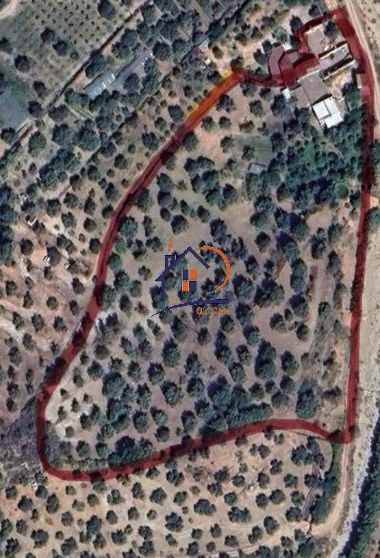 Venta Terreno agrícola Corigliano-Rossano Rossano Scalo #382 n.18
