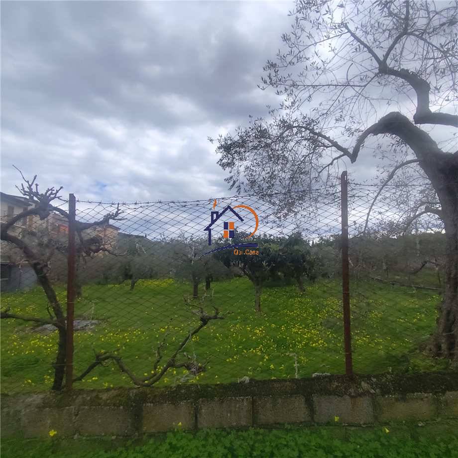 For sale Detached house Corigliano-Rossano Rossano Scalo #430 n.18