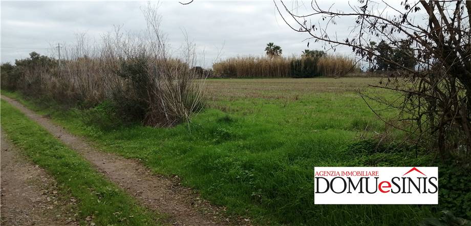 Venta Terreno Nurachi  #55 n.8