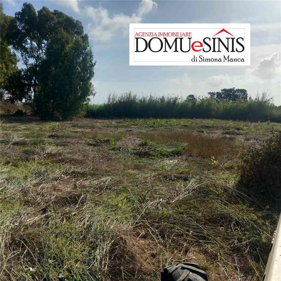 Venta Terreno Nurachi #101 n.7