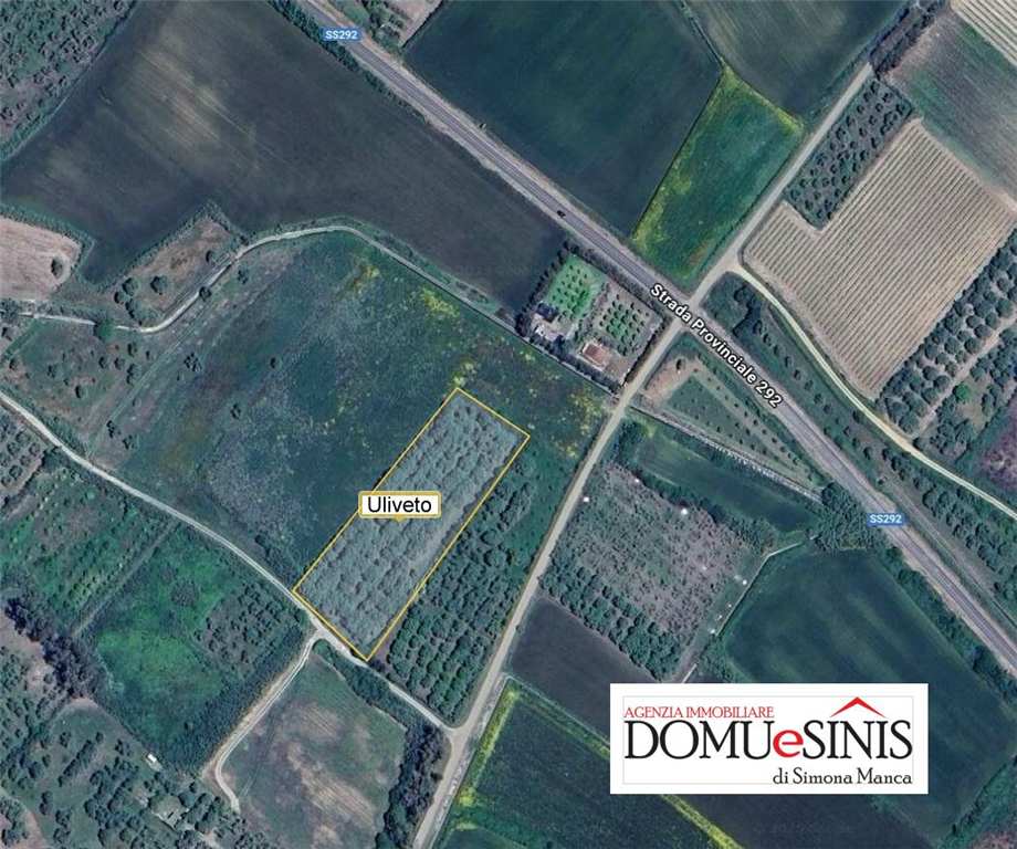 Venta Terreno Nurachi  #104 n.6