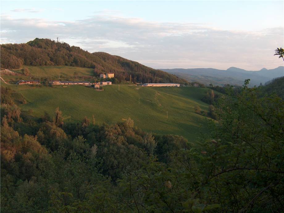 Vendita Rustico/Casa di campagna Monterenzio  #89 n.8