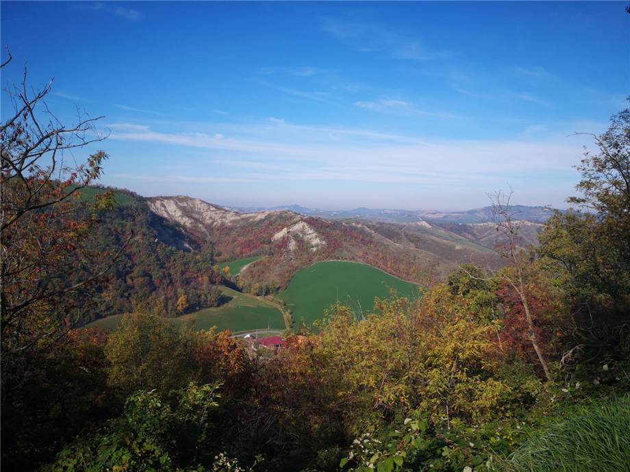 For sale Country house Ozzano dell'Emilia #125 n.7
