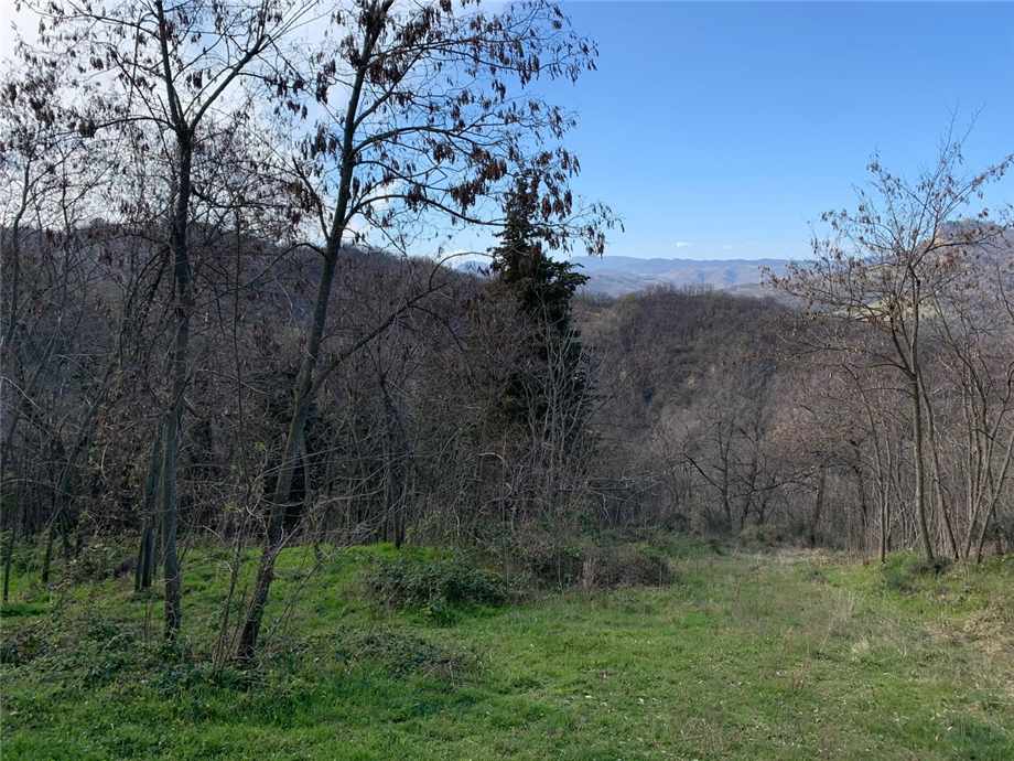 Venta Casa unifamiliar Monterenzio Cà di Bazzone #184 n.9