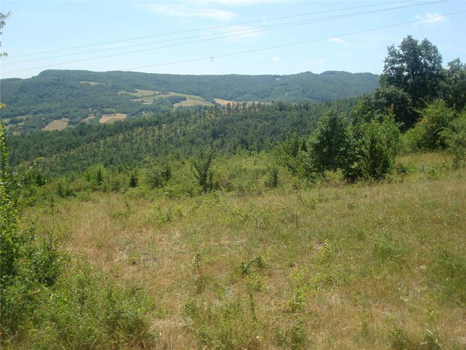 For sale Country house Monterenzio Villa di Cassano #290 n.6