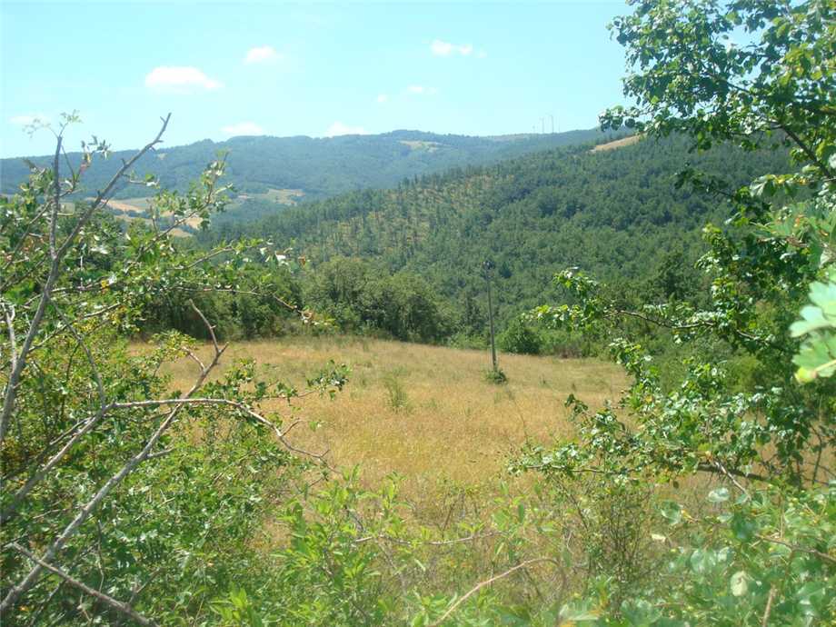 For sale Country house Monterenzio Villa di Cassano #290 n.7