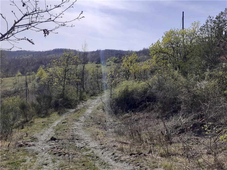For sale Country house Monterenzio Villa di Cassano #290 n.8