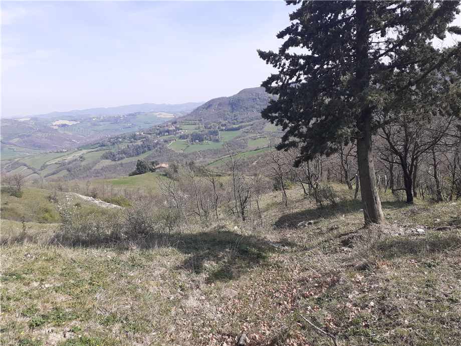 For sale Country house Monterenzio Villa di Cassano #290 n.9