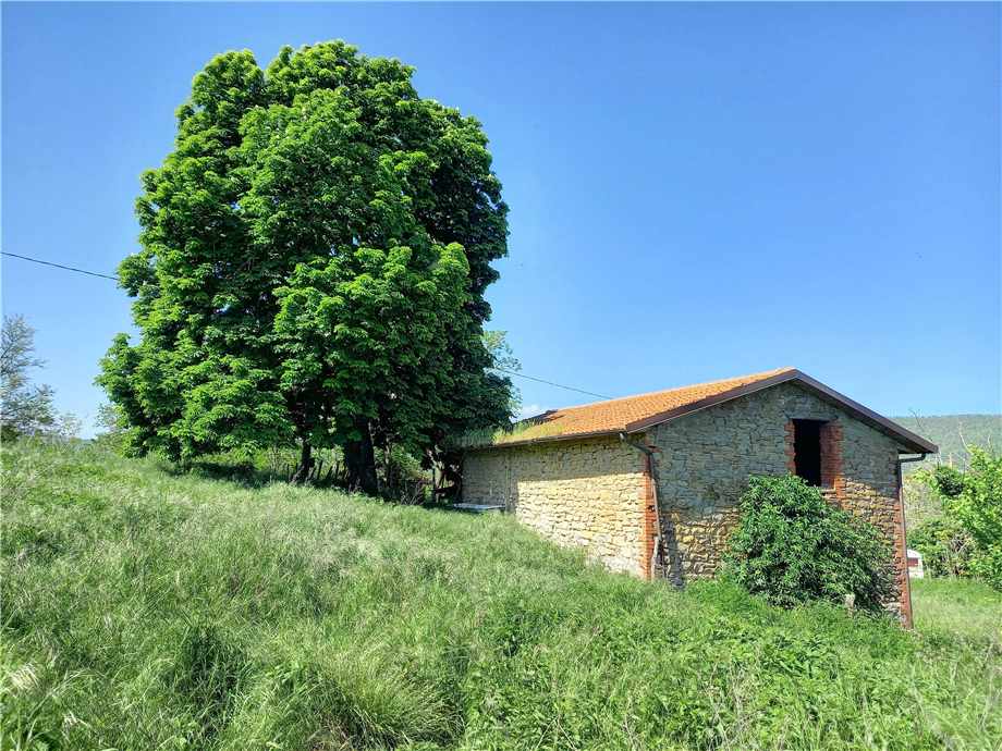 For sale Casale/Cascina/Casa colonica Casalfiumanese Sassoleone #435 n.6