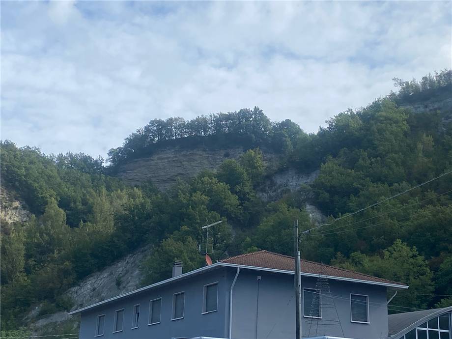 Vendita Appartamento Monterenzio  #477 n.8